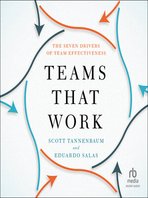cover image of Teams That Work